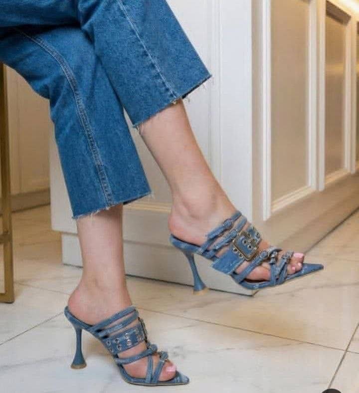 مجلسی لی