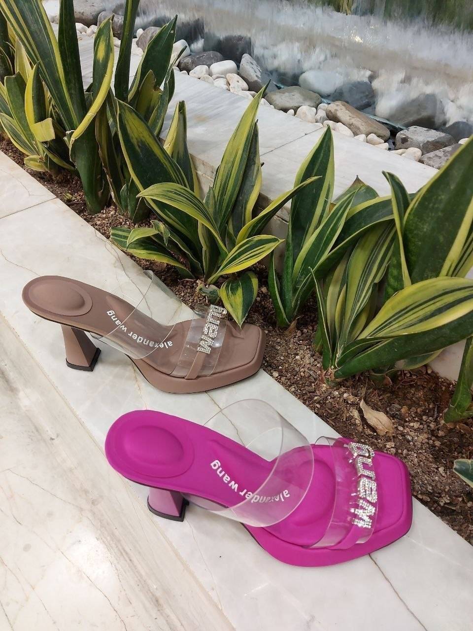 مجلسی ونگ